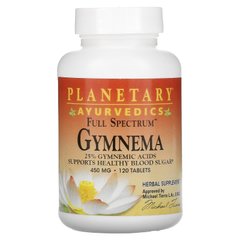 Джімнема Аюрведік Planetary Herbals (Gymnema) 450 мг 120 таблеток