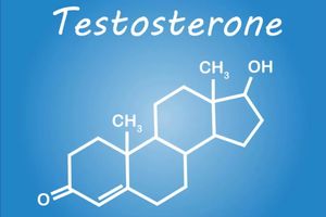 Як підвищити тестостерон? Натуральні бустери гормону