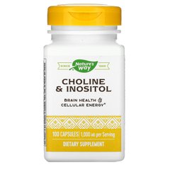 Холін і інозитол, Choline & Inositol, Nature's Way, 500 мг, 100 вегетаріанських капсул