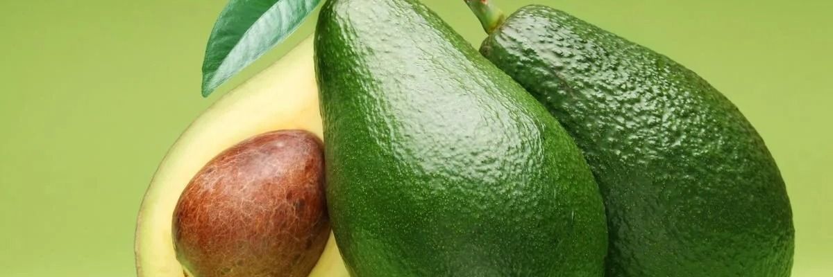 Авокадо – чем полезен этот фрукт для человека?