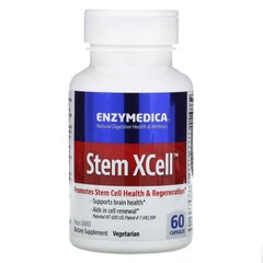 Ферменти для мозку, Stem XCell, Enzymedica, 60 капсул