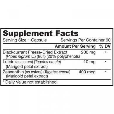 Черная смородина+лютеин Jarrow Formulas (Blackcurrant+Lutein) 200 мг/10 мг 60 капсул купить в Киеве и Украине