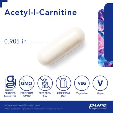 Ацетил-Л-карнитин Pure Encapsulations (Acetyl-L-Carnitine) 500 мг 60 капсул купить в Киеве и Украине