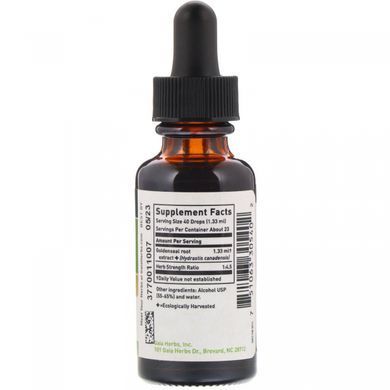 Canadian Yellowroot