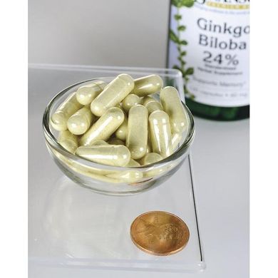 Екстракт гінкго білоба - стандартизований Ginkgo Biloba Extract - Standardized, Swanson, 60 мг 120 капсул