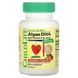 Дитячий DHA, з водоростей з вітаміном А та лютеїном, смак ягід, Algae DHA with Vitamin A & Lutein, ChildLife, 60 гелевих капсул фото