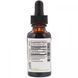 Canadian Yellowroot