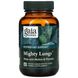 Gaia Herbs, Mighty Lungs, 60 веганских жидких фито-капсул фото
