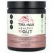 Здорова кишка, ягода, Healthy Gut, Berry, Terra Origin, 8,57 унції (243 г) фото