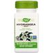 Гортензия, Hydrangea, Nature's Way, корень, 370 мг, 100 вегетарианских капсул фото