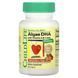 Детский DHA, из водорослей с витамином А и лютеином, вкус ягод, Algae DHA with Vitamin A & Lutein, ChildLife, 60 гелевых капсул фото