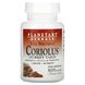 Коріолус підтримка імунітету Planetary Herbals (Coriolus) 1000 мг 30 таблеток фото