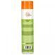 Earth Science, Ceramide Care, conditioner for control of curls and curly hair, 10 fluid ounces (295 ml)