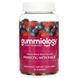 Пробиотики с инулином Gummiology (Probiotic with Inulin Gummies Mixed Berry) 90 вегетарианских жевательных конфет фото