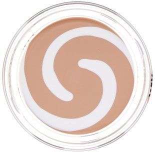 Foundation, shade 210 Classic Ivory, Olay Simply Ageless, Covergirl, 12 g (0.4 ounces)