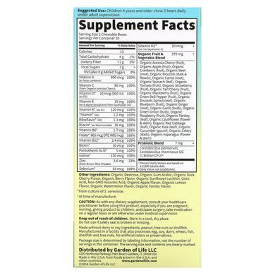 Вітаміни для дітей Garden of Life (Multivitamin for Kids Vitamin Code) 60 жувальних цукерок зі смаком вишні