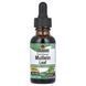 Alcohol-Free Mullein Extract Natures Answer 30 ml