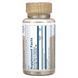 Fermented Organic Mushroom Chaga 500 mg 60 Vegetarian Capsules