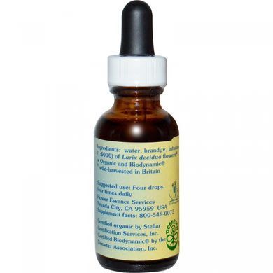 Larch Tincture Flower Essence Services 30 ml