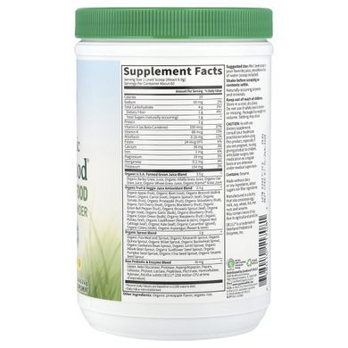Суперфуд Garden of Life (Raw Perfect Food) 419 г с оригинальным вкусом купить в Киеве и Украине