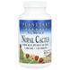 Mexican Nopal, full spectrum prickly pear cactus, Planetary Herbals, 1000 mg, 120 tablets.