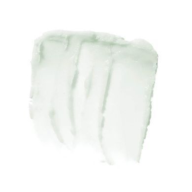 Exfoliating Lip Scrub, Mint Maniac, E.L.F. Cosmetics, 0.11 ounces (3.2 g)