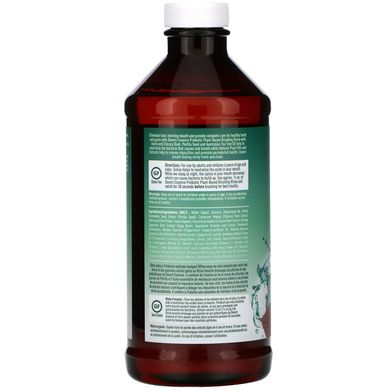Пребіотик, рослинне полоскання, м'ята, Prebiotic, Plant-Based Brushing Rinse, Mint, Desert Essence, 467 мл