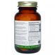 Пробіотик з пребіотиками корінь якона Sunbiotics (Potent Probiotics with Organic Yacon Root Prebiotics) 30 таблеток фото
