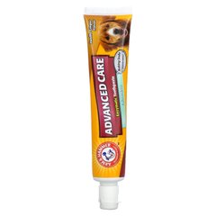 Arm & Hammer, Advanced Care, ферментная зубная паста, для собак, ванильный имбирь, 2,5 унции (67,5 г) купить в Киеве и Украине