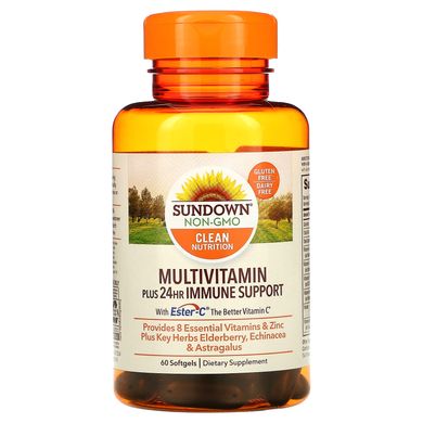Sundown Naturals, Мультивитамины, поддержка иммунитета в течение 24 часов, 60 мягких таблеток купить в Киеве и Украине