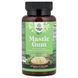 Мастичная смола Nature's Craft (Mastic Gum) 500 мг 60 капсул фото