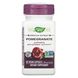 Гранат стандартизированный Nature's Way (Pomegranate) 350 мг 60 капсул фото
