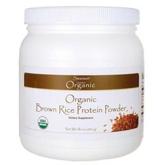 Органический протеин коричневого риса, Organic Brown Rice Protein, Swanson, 482 грам купить в Киеве и Украине