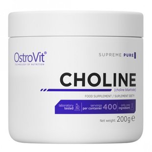 Холин, CHOLINE, OstroVit, 200 г купить в Киеве и Украине