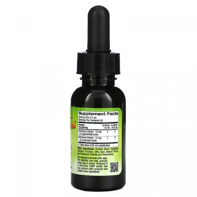 Жидкая эхинацея для детей, без алкоголя, с апельсиновым вкусом, Liquid Echinacea For Children, No Alcohol, Orange Flavor, Vitables, 29,6 мл купить в Киеве и Украине