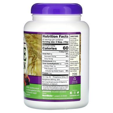Rice protein berry blend