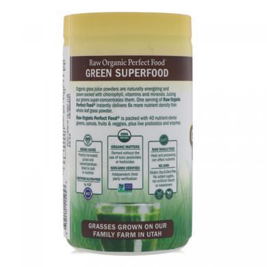 Superfood Garden of Life (Raw Perfect Food) chocolate 337 g