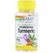 Ферментированная куркума Solaray (Fermented Turmeric) 425 мг 100 капсул фото