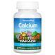 Мультивитамины для детей с кальцием с ванильным вкусом Nature's Plus (Animal Parade Calcium Children's Chewable Supplement Vanilla Sundae) 90 животных фото