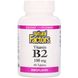 Рибофлавін вітамін B2 Natural Factors (Riboflavin Vitamin B2) 100 мг 90 таблеток фото