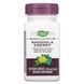 Enzymatic Therapy, Энергия родиолы, 40 растительных капсул фото