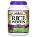 Rice protein berry blend