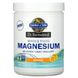 Формула магнію Garden of Life (Magnesium powder) 350 мг 197 г зі смаком апельсина фото