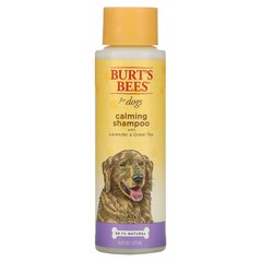 Burt's Bees, Заспокійливий шампунь для собак з лавандою та зеленим чаєм, 16 рідких унцій (473 мл)