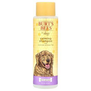 Burt's Bees, Успокаивающий шампунь для собак с лавандой и зеленым чаем, 16 жидких унций (473 мл) купить в Киеве и Украине