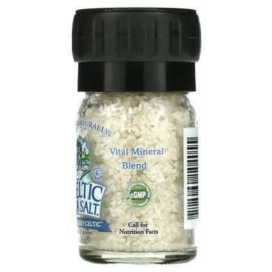 Морская соль серая Celtic Sea Salt (Sea Salt) 51 г купить в Киеве и Украине