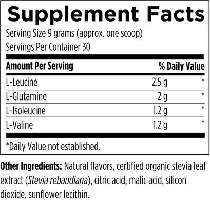 Аминокислоты BCAA с L-глутамином Designs for Health (BCAA Powder with L-Glutamine) 270 г купить в Киеве и Украине