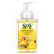 Foaming Hand Wash Lemon Verbena South of France (Hand Wash) 236 ml