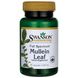 Листя коров'яку, Full Spectrum Mullein Leaf, Swanson, 500 мг, 60 капсул фото
