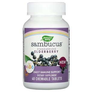 Sambucus для детей, стандартизированная бузина, Sambucus for Kids, Standardized Elderberry, Nature's Way, 40 жевательных таблеток купить в Киеве и Украине